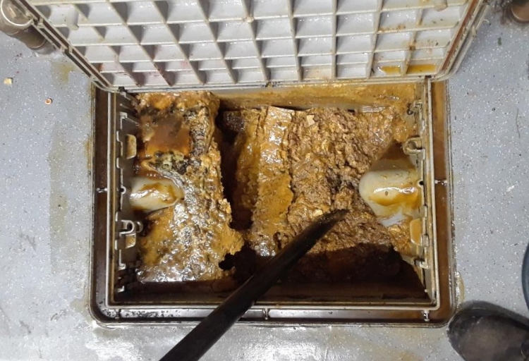 Grease Trap Cleaning - Sanivac