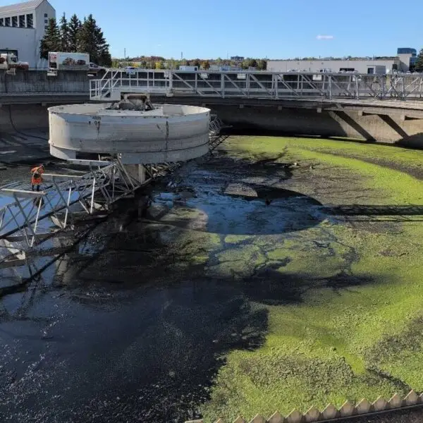 Pompage de bassin -pompage et nettoyage - Sanivac