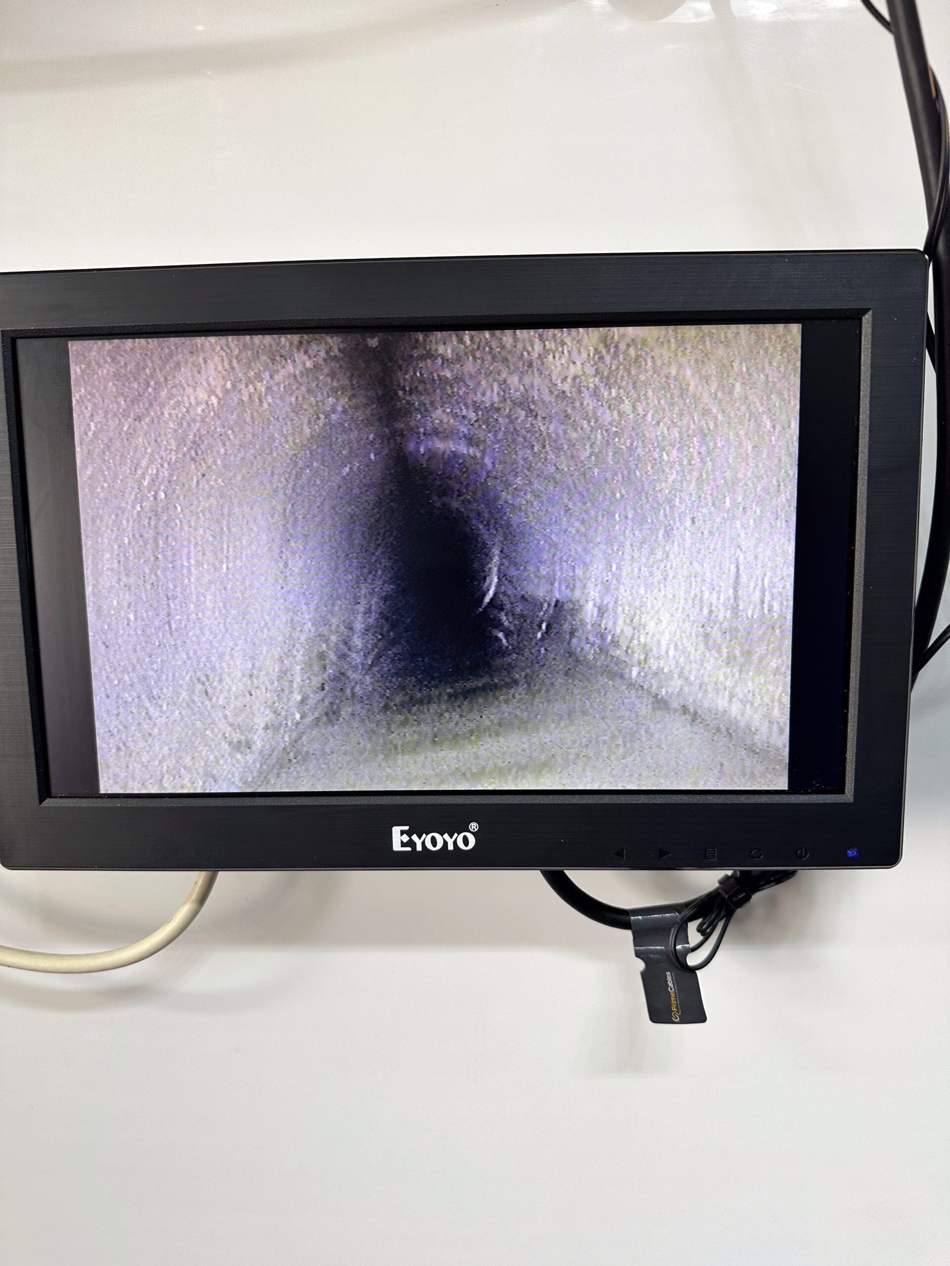 Sanivac, experts en services sanitaires depuis 1961